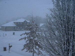 snowy-morn-2.jpg